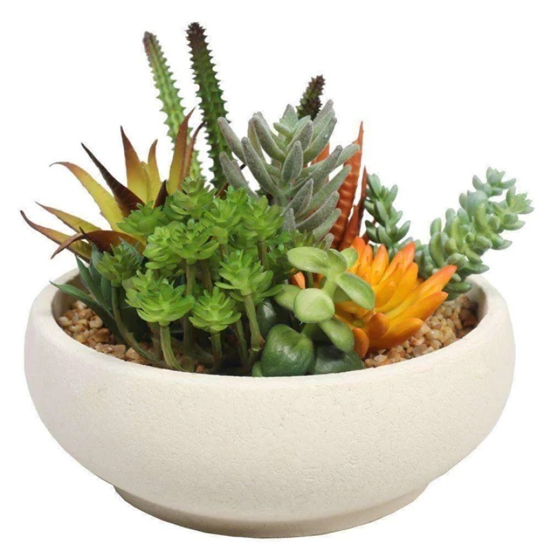 Buy Some Refreshing Artificial Succulents Online