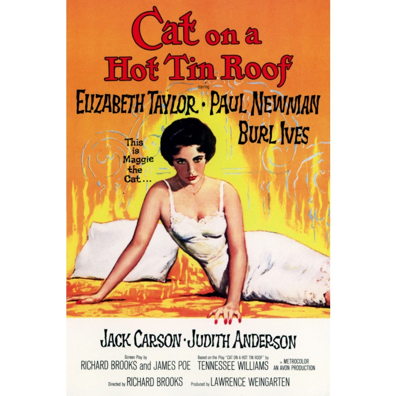 Cat on a Hot Tin Roof 1958   Elizabeth Taylor, Paul Newman, Burl Ives, Jack Carson