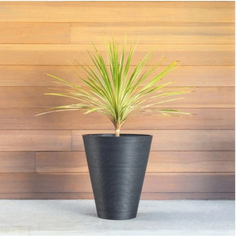 High-quality and Durable Artificial Plants in Brisbane for Sale