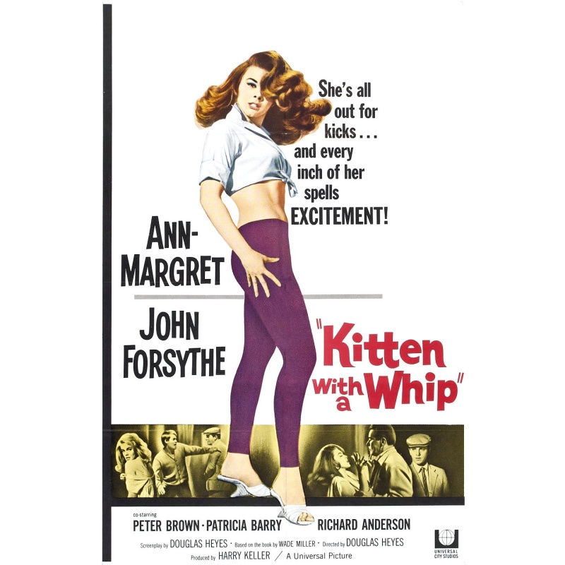 Kitten with a Whip 1964  Ann-Margret  John Forsythe