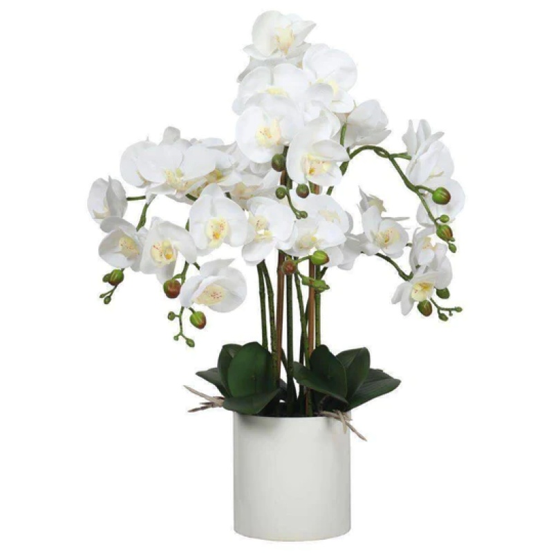 Ornamental Ultra-realistic Artificial Orchids and Succulents Plants
