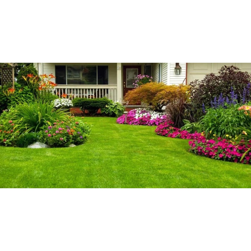 Reach an Affordable Lawn Care Service Provider Near Me