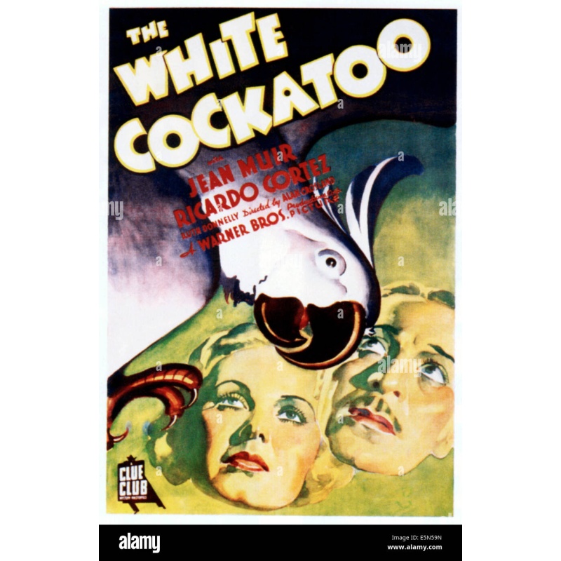 The White Cockatoo 1935 Jean Muir, Ricardo Cortez and Ruth Donnelly. ...